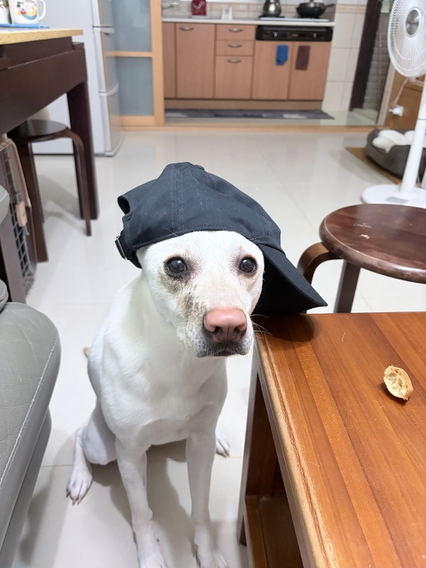 鄭○宜