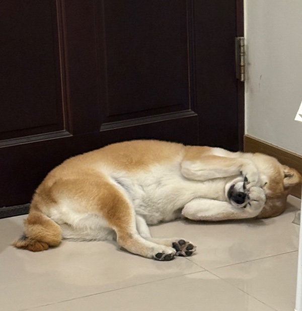 王○貞