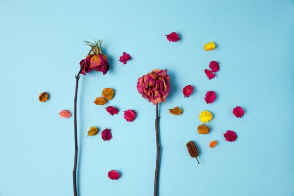 鄧惠文：什麼是「婚內失戀」？