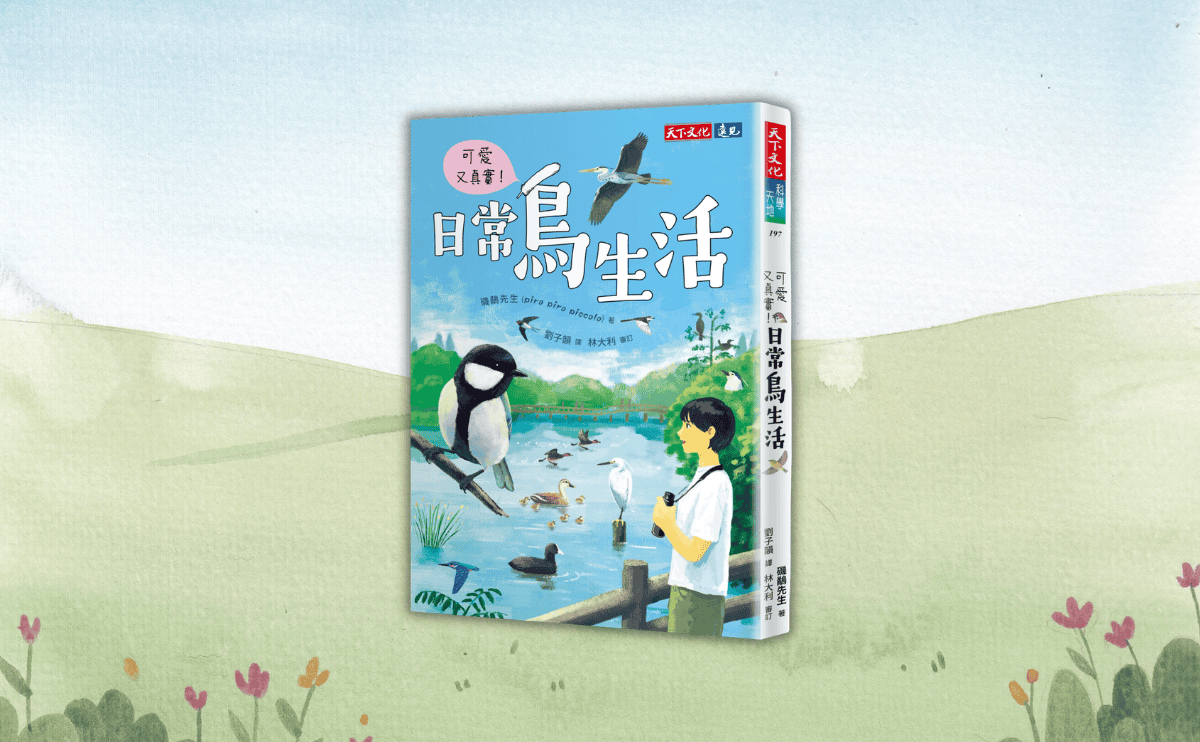 《可愛又真實！日常鳥生活》編輯導讀：麻雀怎麼分老少？烏鴉有鼻毛？揭開8個你可能不知道的鳥類冷知識