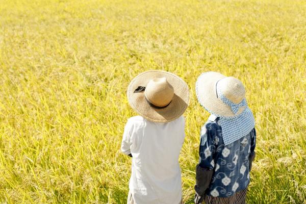 如何避免孤獨的老後？日本研究：要和歐巴桑學！