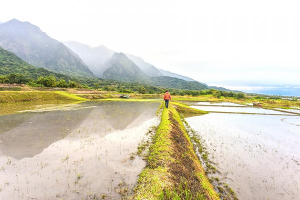 重新感受生活的溫度！到長濱打工換宿，在山海間練習第二人生