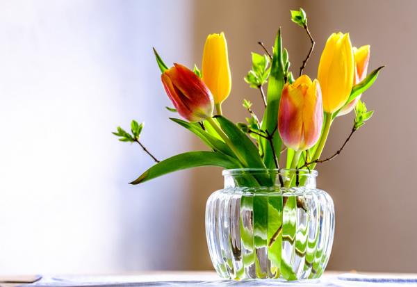 年歲漸長參加告別式，更懂如何活好此生！許峰源：每天專注做好一件事，留下幸福存款給最愛的人