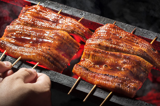 鰻魚飯做法大不同？在享用前先了解背景故事｜《三都傳奇》