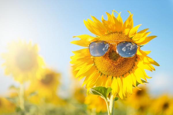 人生下半場，靠自己變順！理性分析：幸福人的6種特質，你具備了嗎？