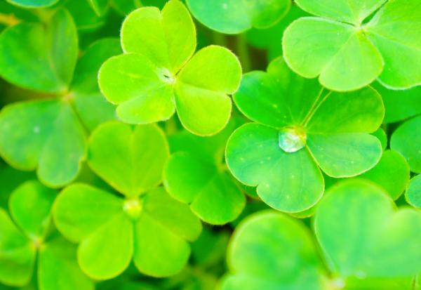 孩子長大了，我們是什麼？彭菊仙：練習當空氣、陽光和水，剛好的距離、溫暖與堅定