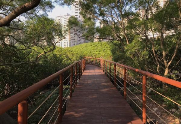 輕鬆好走景色優美！不太需要爬階梯，台灣4條步道推薦