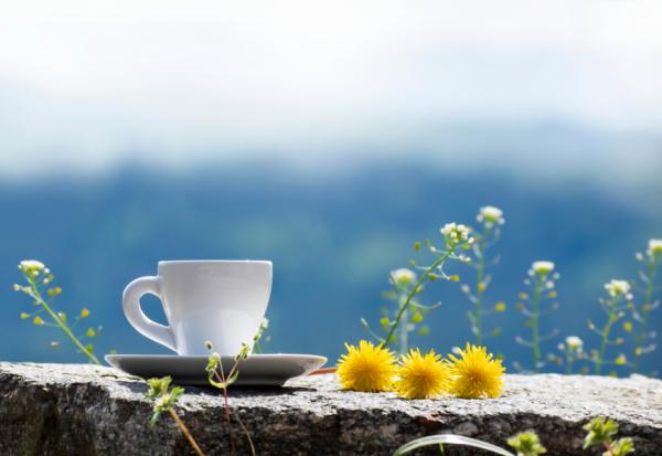 60歲前還不算成熟，60～75歲是人生黃金期！年紀與經驗帶來的禮物：認清禍福相倚，才是「完整」的幸福