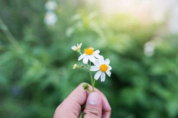 如何面對最愛的人過世？苦苓：莊子沒有哭，卻欣然唱歌的人生哲理