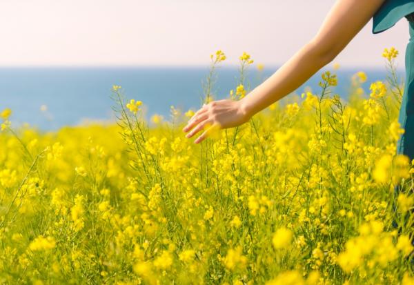 面對人情世故，情緒勞動好心累！效法安息日與西藏圓圈日，保留一天沉澱靈魂，怎麼做？