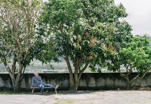 獨居鄉間農舍，山水和貓作伴！蔣勳的池上日常：與塵世隔離的時光，原來可以這麼美