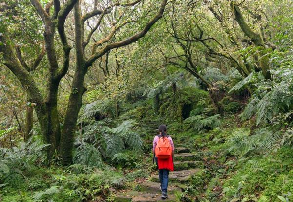 1200月票可以搭什麼？如何用TPASS基北北桃1200月票，玩遍北台灣？旅遊達人943：3條高CP值特色路線推薦