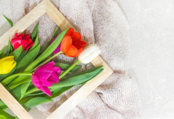 世俗認為的人生勝利組，葬禮卻冷清到令人唏噓 ！僧人枡野俊明2場葬禮的省思：如何證明自己活過？