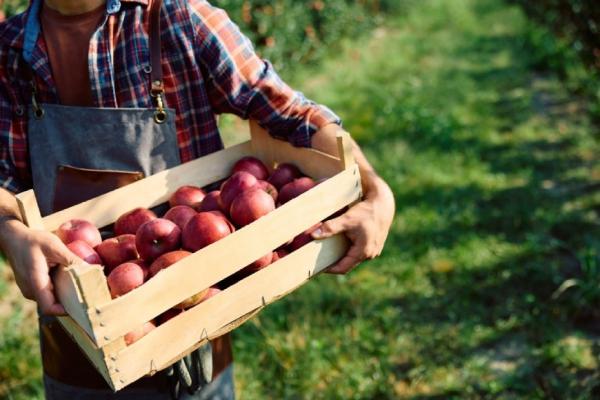 退休後、小孩大了，想體驗新生活？10個問題快速了解打工換宿