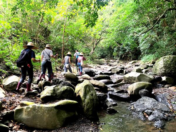 你不知道的生態寶庫，50後的輕壯遊就從島嶼南方登入！