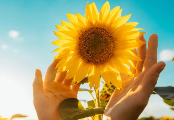 他親自安排喪禮所有細節，讓太太什麼都不用擔心只要哭就好！小冬瓜：生前交代，好過身後讓家人擲筊