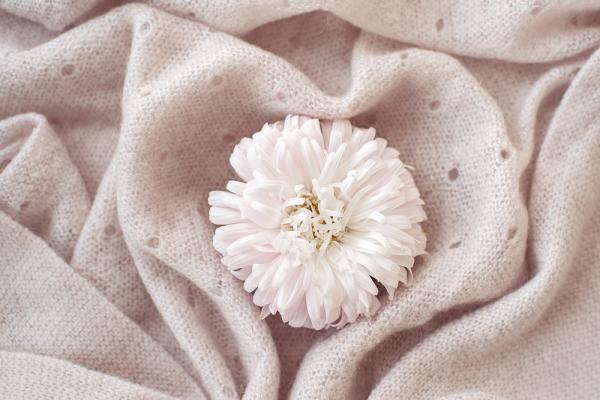 精神科醫師賴奕菁：別為親子關係傷神，多為自己著想