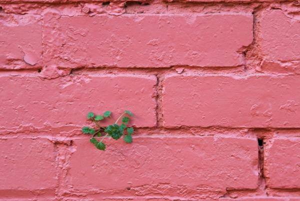 為何有些爭執總是鬼打牆？專家：不能指望所有的關係都有深度