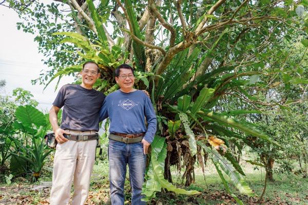 65歲叛逆好處多！退休校長創辦野菜學校：別因他人的價值，讓自己變俗氣 
