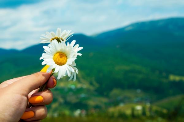 彭樹君專欄｜愛的藝術是放手！不擔憂他人的人生，才有能量活出自己