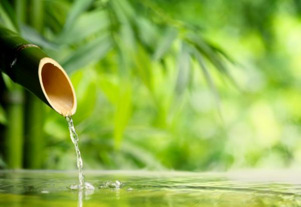 練習「不控制」人生更自在！李小龍：活著要像水一樣，保持柔軟流動反而更強大