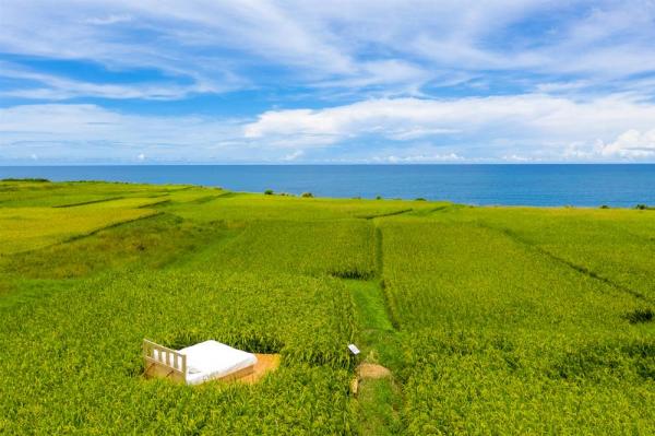 到花蓮山海間走走！森川里海濕地藝術季：走進豐濱5部落，戶外看展拍美照