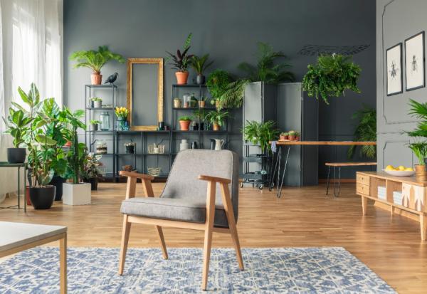 風格居家植栽怎麼選？玄關、客廳、臥室，6大空間推薦植物盤點