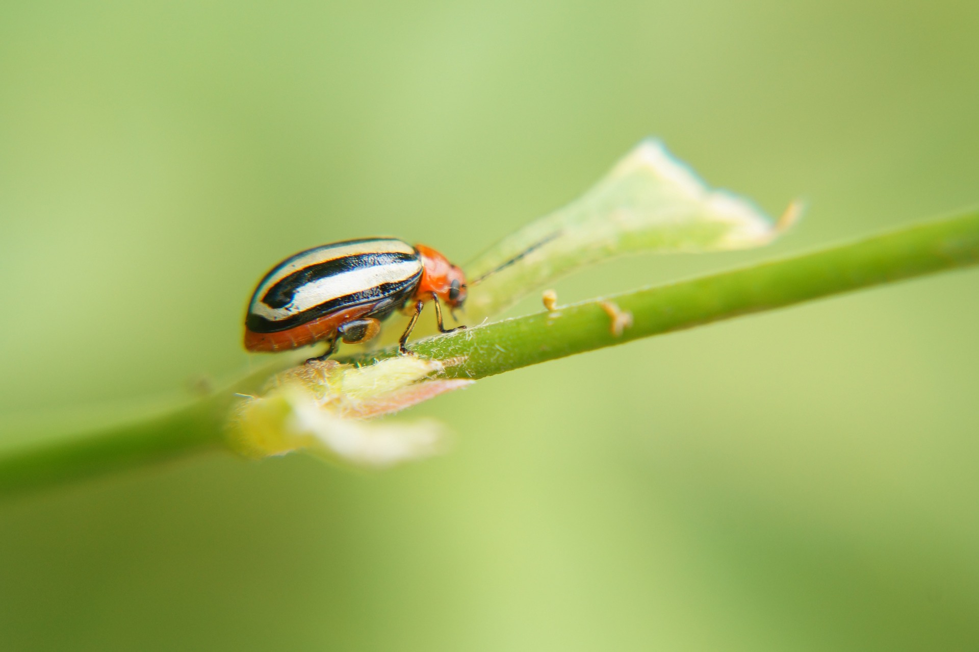 請赴一場生物學的盛宴