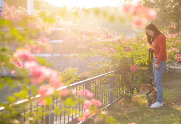 成功的單身是擁有選擇！治療師：單身，就是做一個負責任的成年人