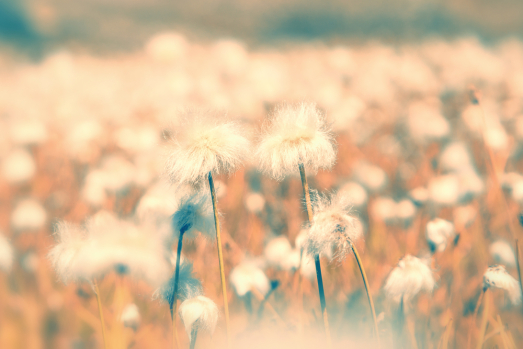 擁有不畏老化的心，才能帶來平穩的人生
