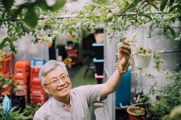 閒置頂樓變菜園，社會企業「樂農生活」雇50+幫退休族圓田園夢