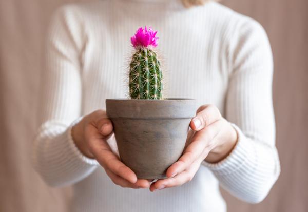 「我開玩笑你別認真」，自以為是的幽默很傷人！心理師林萃芬：不舒服的玩笑，怎麼回應？