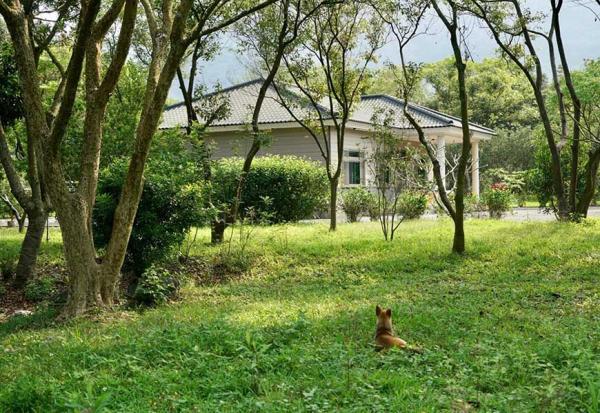 退休隔天搬到大武山下，過晴耕雨讀的生活！Vincent：台北、屏東兩地居，一個人獨享住在森林裡的幸福