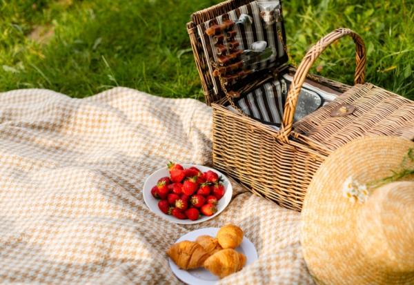 帶張小椅子，就能享受大自然！走最少路就能到達，台灣3個最方便的都市野餐地點