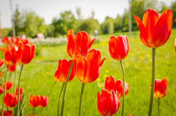 人生該往前了！你還想跟情緒不成熟之人，維持以前的互動模式嗎？
