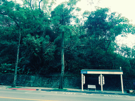 醫師作家吳妮民：深夜安養中心的警笛聲，教會我生命的功課