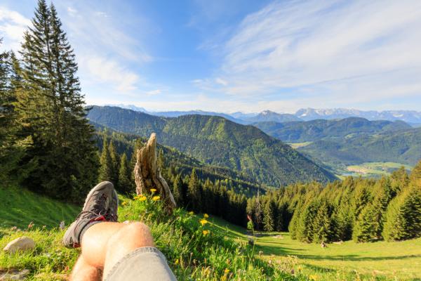 *小野：你有多自律，就有多自由