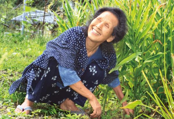 80歲沒老花眼、不駝背，每天只靠一菜一湯吃出健康！食養專家若杉友子50年不生病的飲食養生法