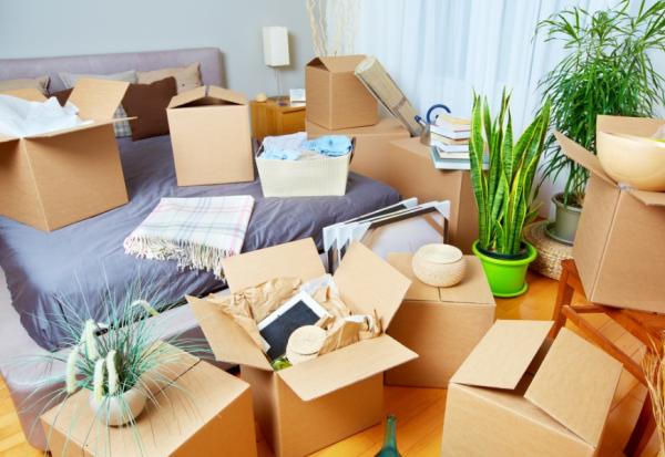 在孤獨死個案家中找到勞力士、伴母親遺體生活半年的孩子⋯⋯林立青、盧拉拉與友洗社創的遺屋故事