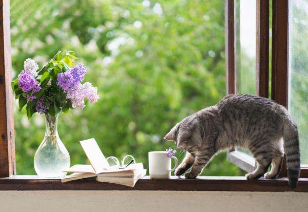 外公留下的老車，為何開了20年還有修的價值？整理師廖心筠：真正的幸福是明白「已經夠好了」