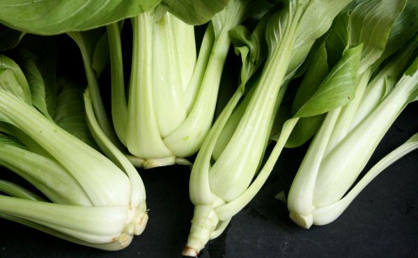 誰說葉菜不能冷凍？