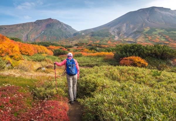 90歲依然健檢零紅字，如常生活到97歲！日本「智慧的巨人」、學者外山滋比古的五體散步法則