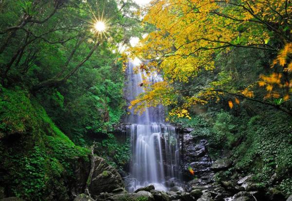 炎炎夏日，這些景點有如天然冷氣房！森林步道、瀑布溪谷，7景點出遊兼避暑