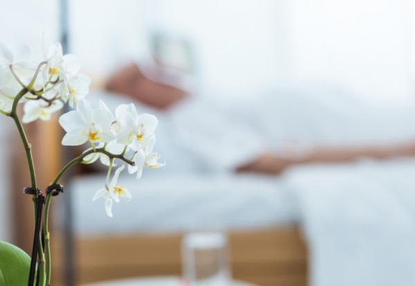 何時該進行安寧療護？亞洲首次研究：醫師判斷正確機率只有88%，談善終要趁早