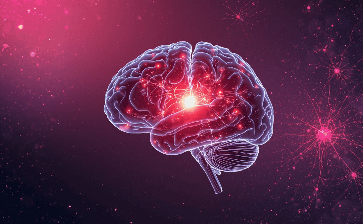 腦科學家告訴你：為什麼我們需要愛？拆解大腦「獎勵系統」的4個關鍵化學反應！