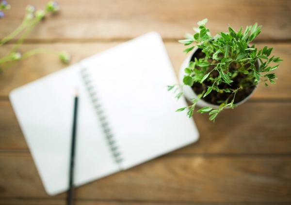 《阿信》編劇的幸福秘訣：養成生日時好好思考死亡的習慣