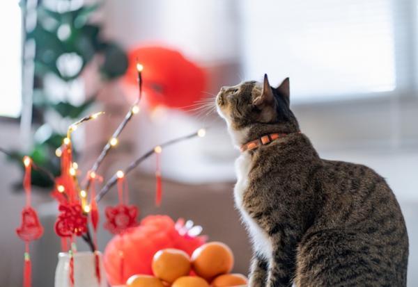 想到要跟「有過節的人過節」，內心焦慮小劇場上演？聽人碎念、訴苦，如何避免自己耗能？