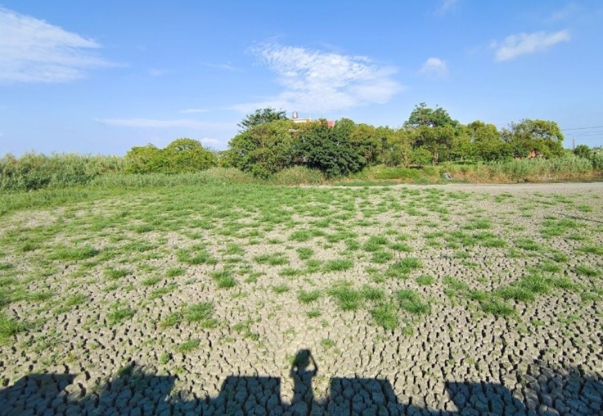 （陳叡智提供）