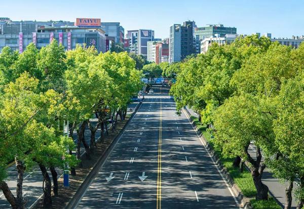 2022年《50+》全台高齡友善城市大調查：你住的城市，能讓未來的你有舒適的老年嗎？