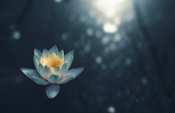 余秋雨自序：「老年是如詩的年代」